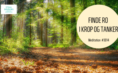 #3014 Forsider VIDEO 2022