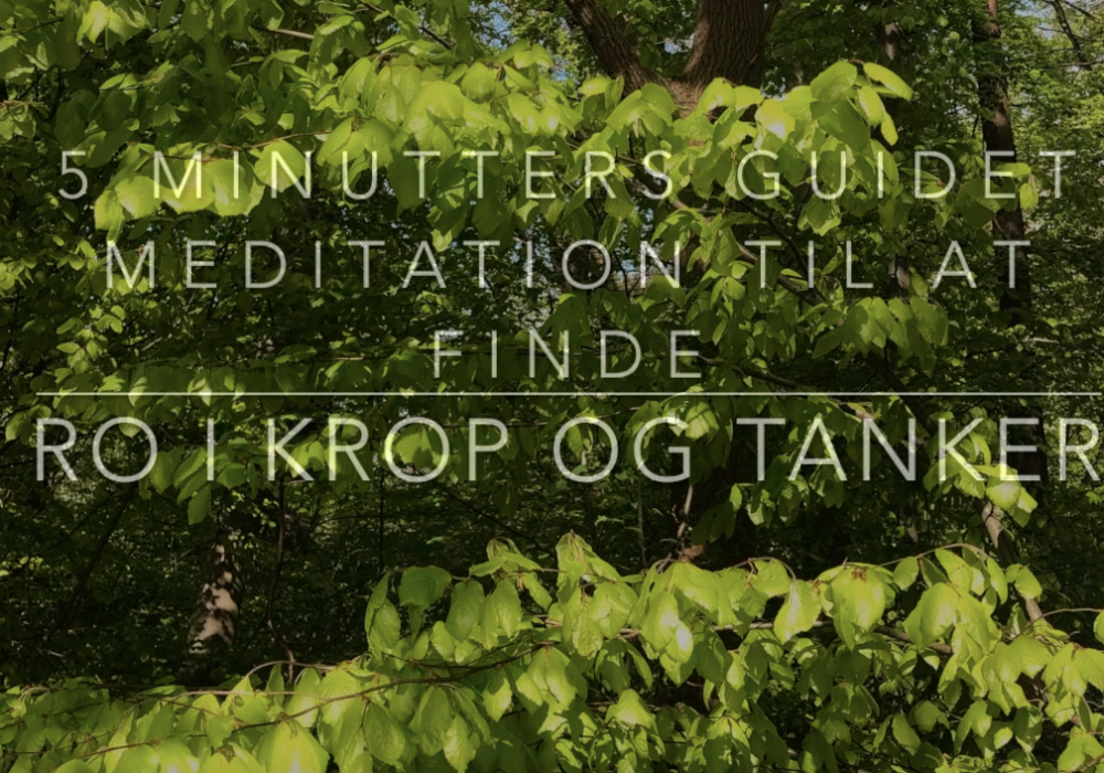 mindfulness meditation ro i krop og hoved