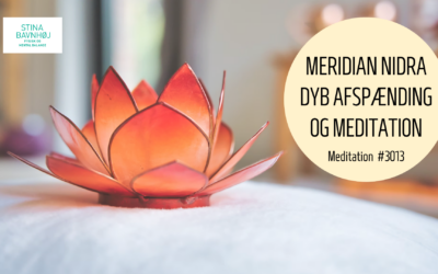 #3013 Meditation Forsider VIDEO 2022