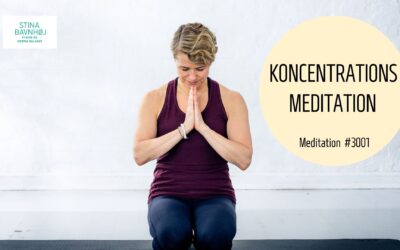 #3001 Meditation VIDEO 2022 Stina Bavnhøj