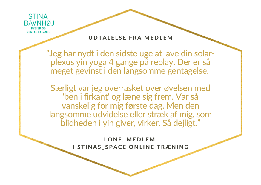 Udtalelse fra medlem Stinas Space