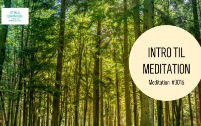 #3016 Intro til meditation Forsider VIDEO