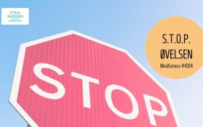 #4004 Mindfulness øvelse STOP