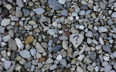 Spørgsmål Sten Stina Bavnhøj