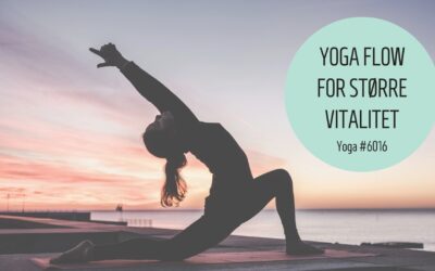 #6016 Styrke smidighed balance med yoga flow 12 min Forsider VIDEO - 2024