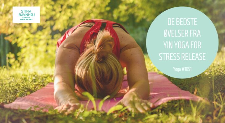 #1051 Yin Yoga stillinger for stress release - Forsider VIDEO - 2024