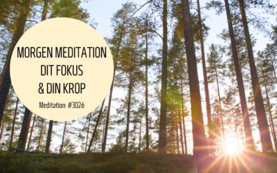 #3026 Morgen meditation Dit fokus og din krop i dag - Stina Bavnhøj - Forsider - 2024