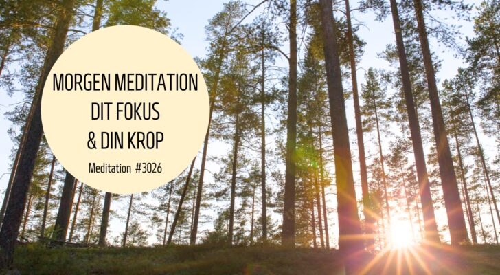 #3026 Morgen meditation Dit fokus og din krop i dag - Stina Bavnhøj - Forsider - 2024