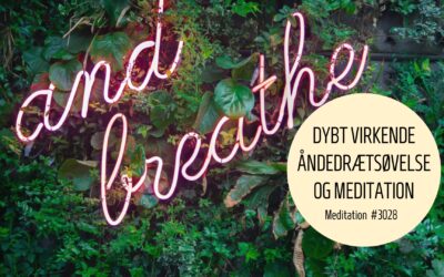 #3028 Dybtvirkende åndedrætsøvelse og meditation - Forsider - 2024
