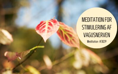 #3029 Meditation vagusnerven - Forsider - 2024