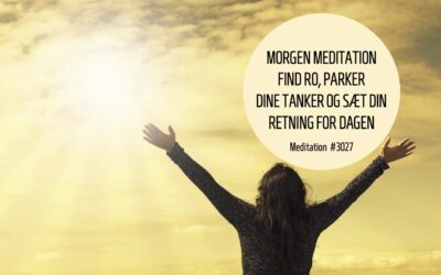 #3027 Morgenmeditation Find ro Parker dine tanker Sæt din retning for dagen