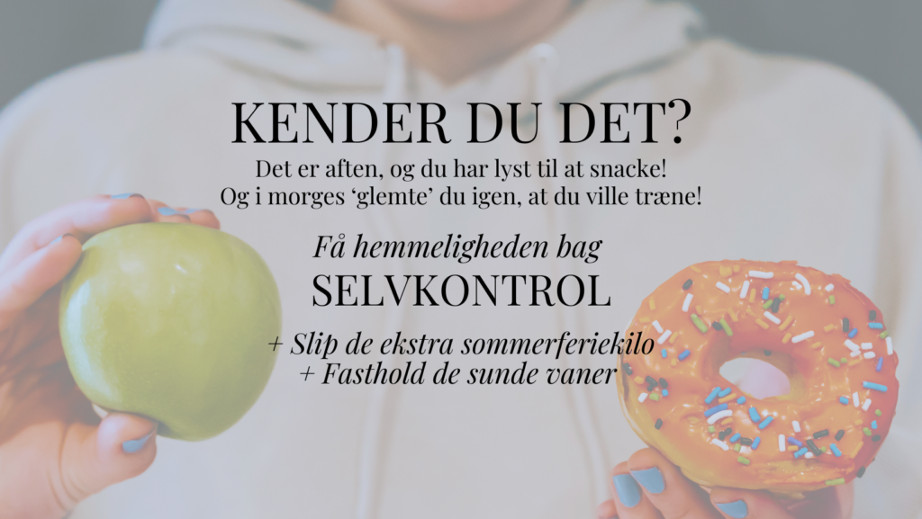 Stina Bavnhøj og Vanehuset Coverfoto landingsside